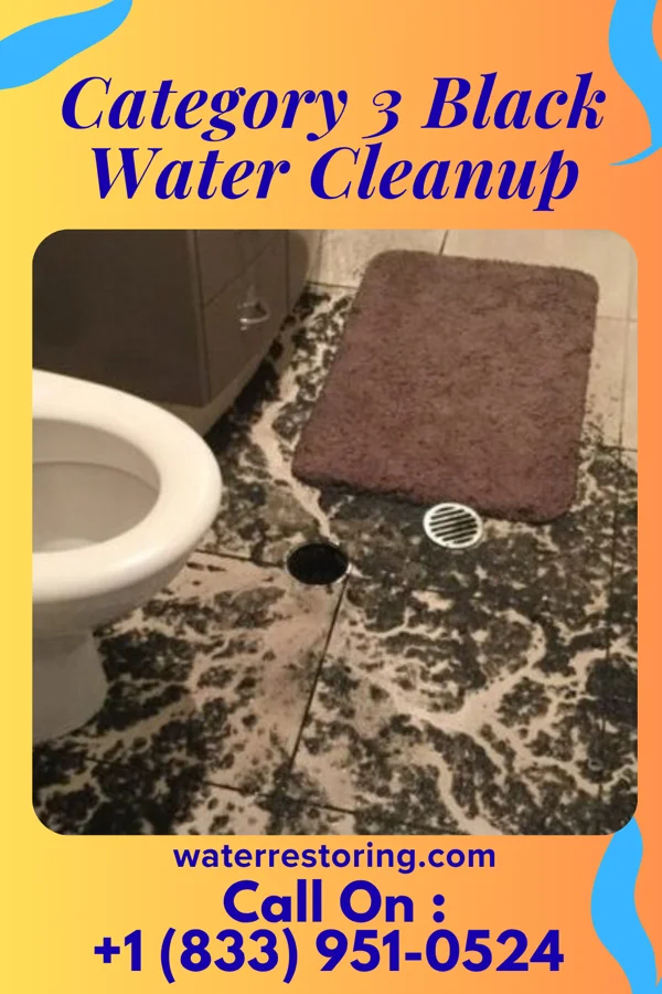 Category 3 Black Water Cleanup in Hartline, WA