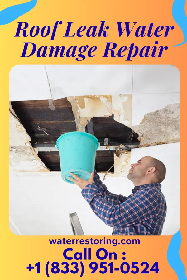 Roof Leak Water Damage Repair in Hartline, WA
